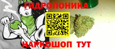 стаф Будённовск