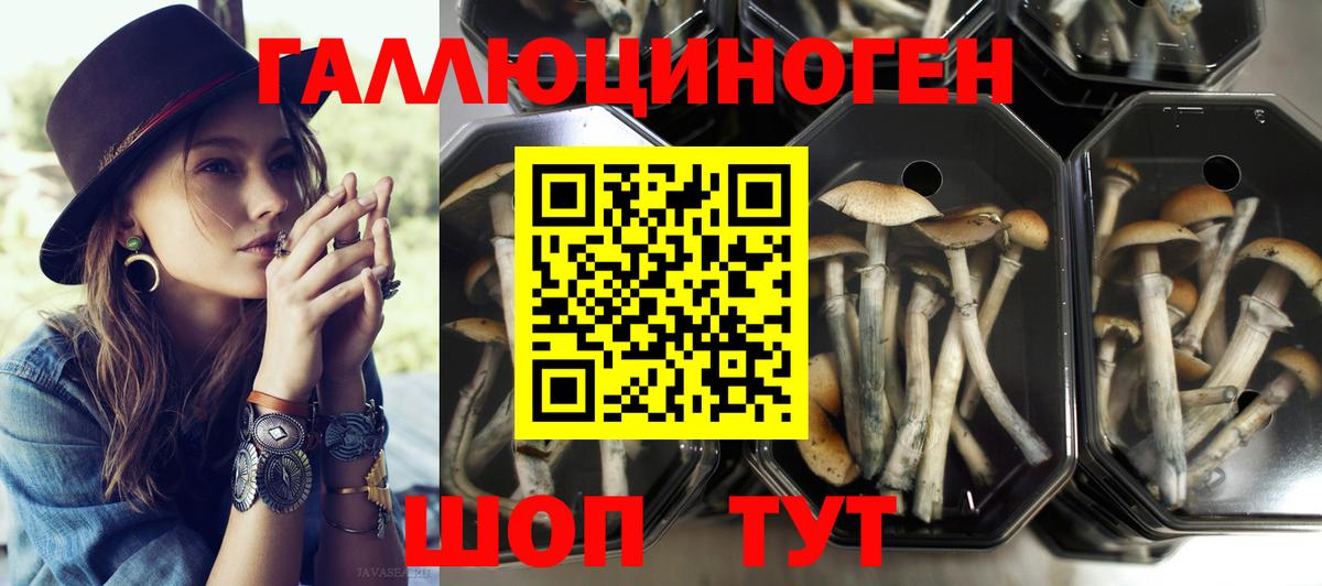 Луховицы  Галлюциногенные грибы прущие грибы  Вход с VPN  закладка  Галлюциногенные грибы Magic Shrooms 