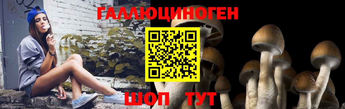 Галлюциногенные грибы Cubensis Луховицы